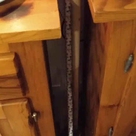 Tour Du Roi Du Mans ! Le Mans