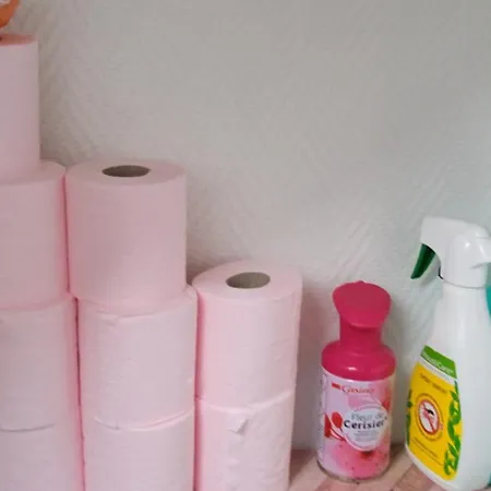 Apartament Tour Du Roi Du Mans !