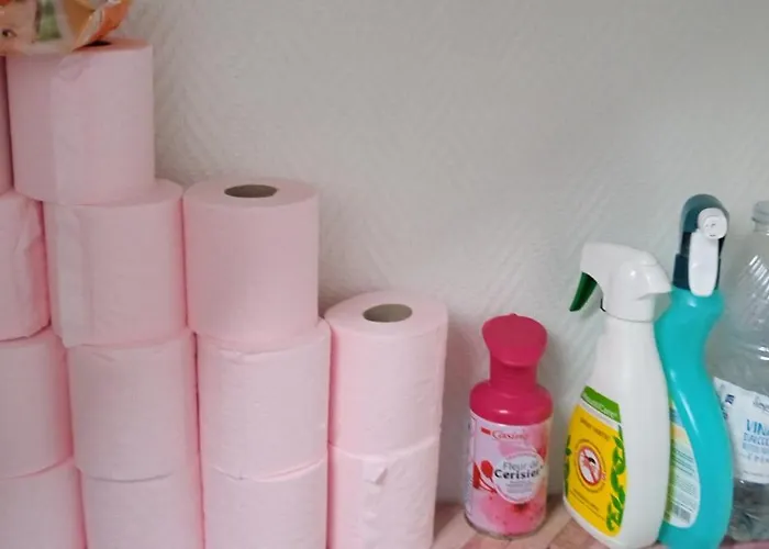 Appartamento Tour Du Roi Du Mans !